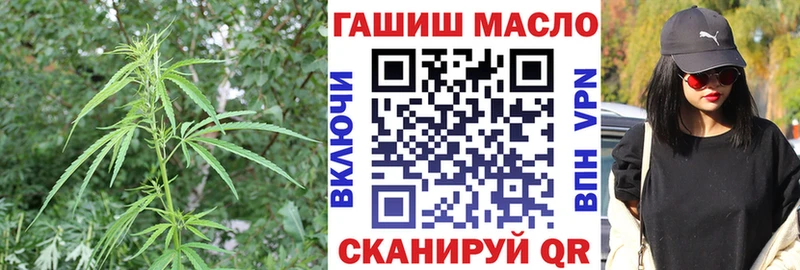 Дистиллят ТГК Wax  Купить закладки  Петровск-Забайкальский 
