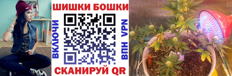 Купить где  Петровск-Забайкальский  Бошки Шишки конопля 